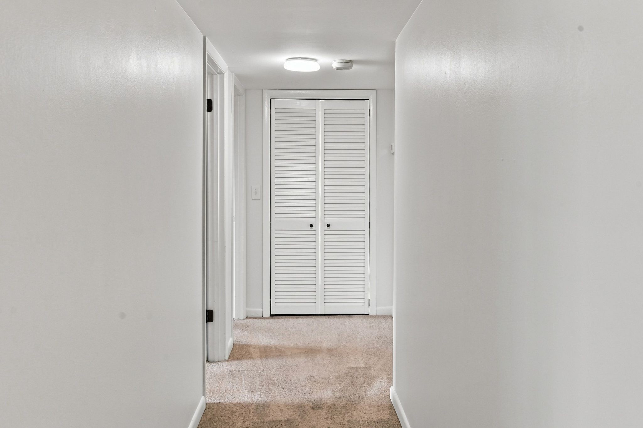 420 Walton Ln Property Photo 14