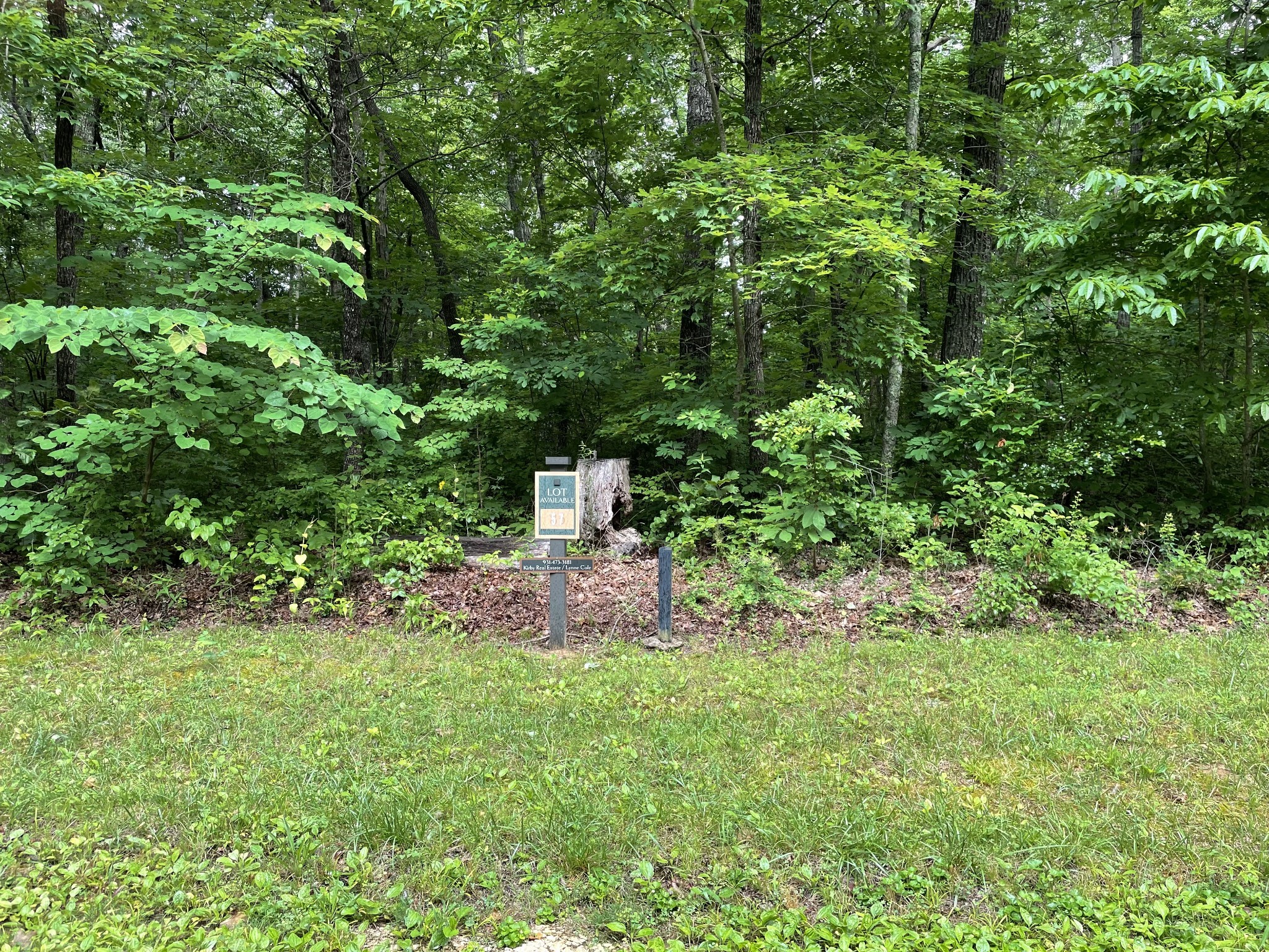 57 Long Mountain Trl Property Photo 1