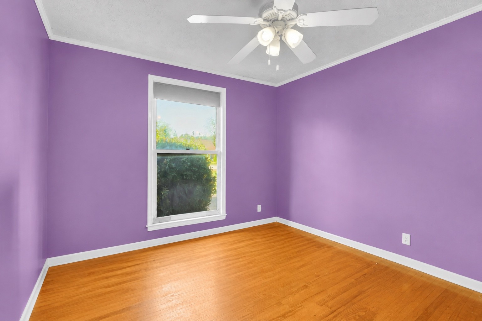 411 Colgate Ave Property Photo 39