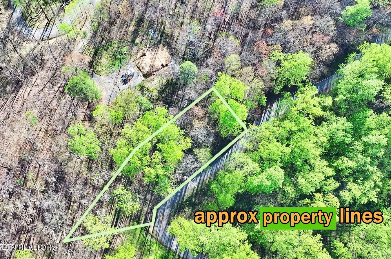 6 Emerald Springs Loop Property Photo 1