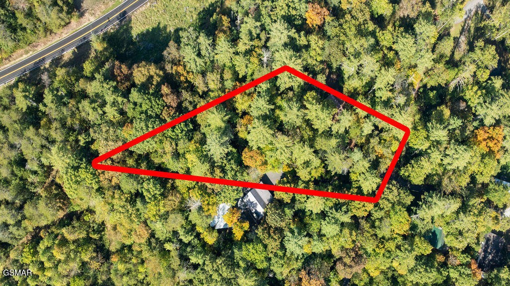 3 Holly Lane