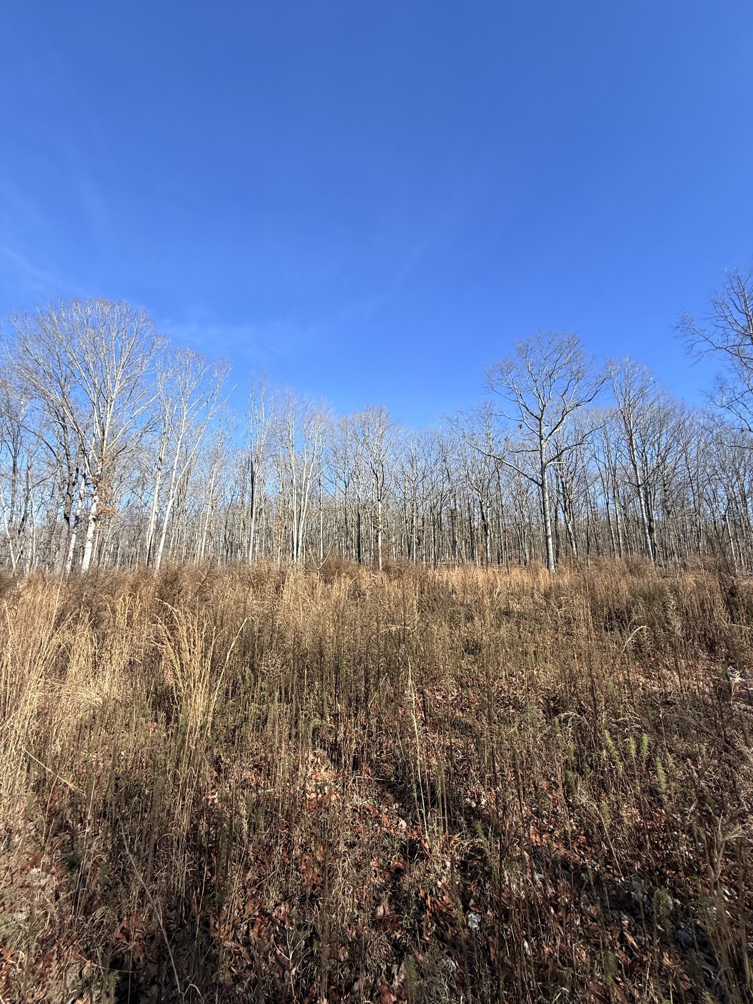 0 Deer Wood Dr