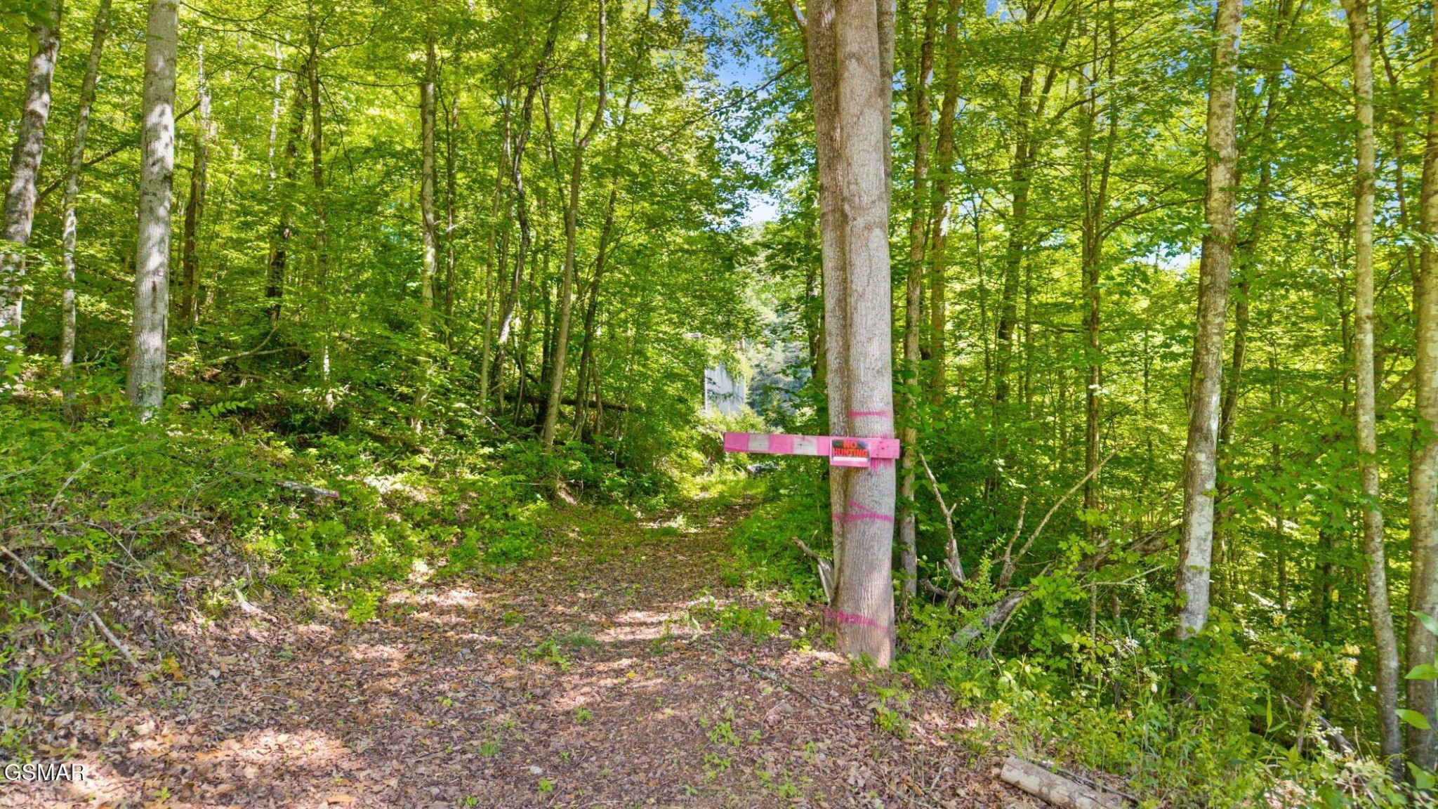 1209 E Bullrun Valley Property Photo 22