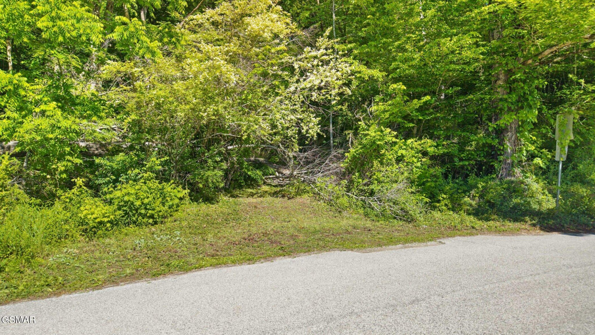 1209 E Bullrun Valley Property Photo 32