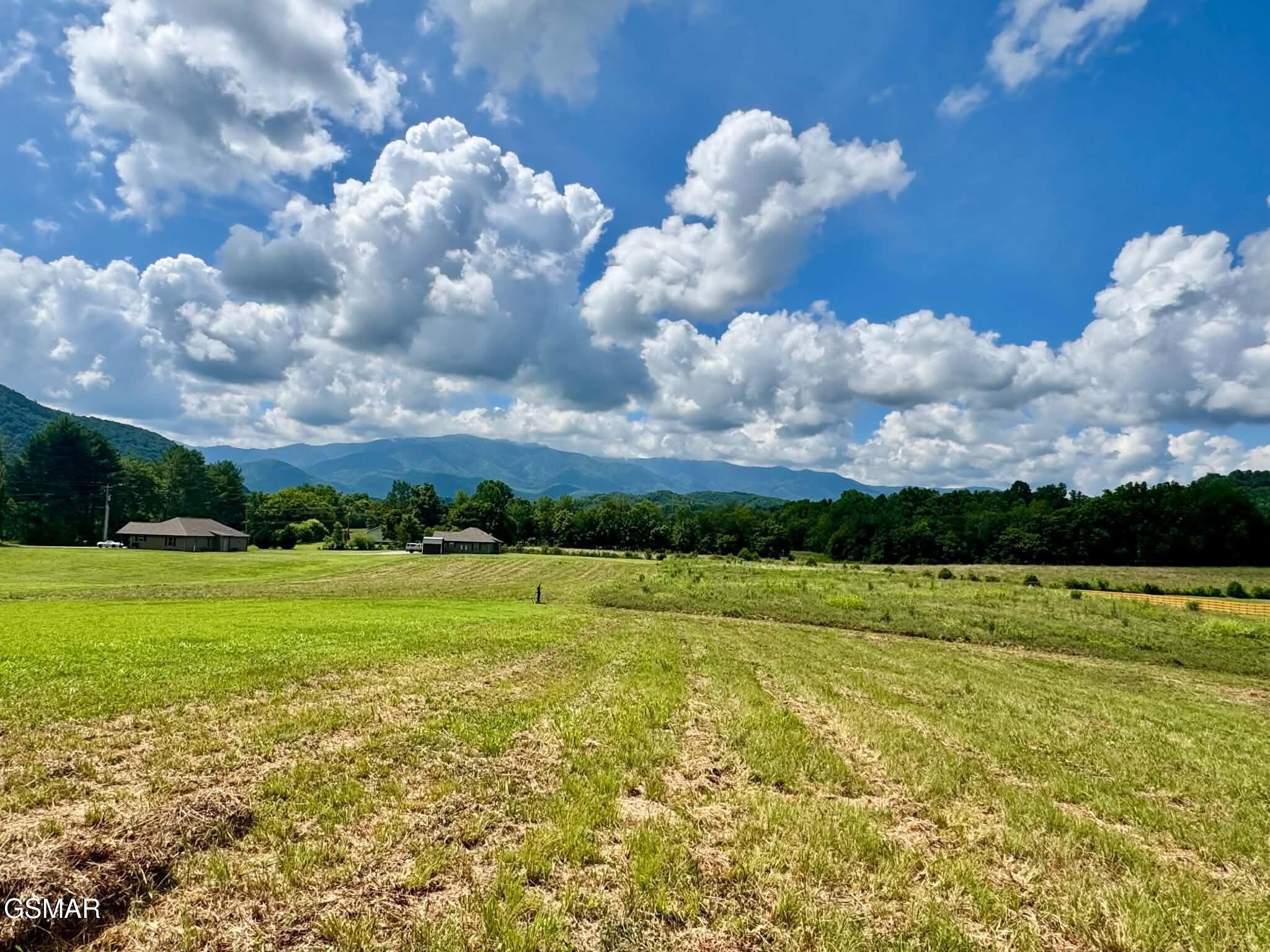 5418 Cocke County Line Road Property Photo 1