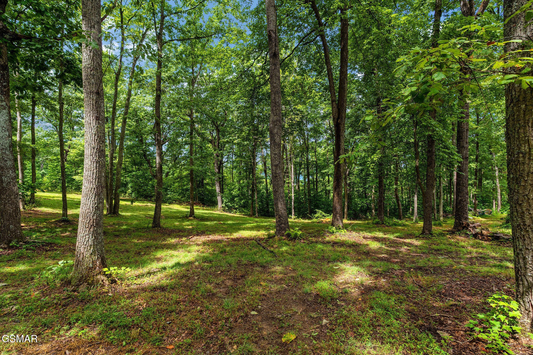 148 Chimney Rock Lane Property Photo 39