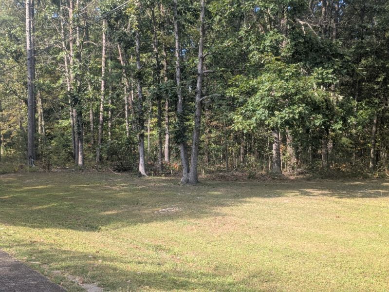 429 Crestview Loop Property Photo 4