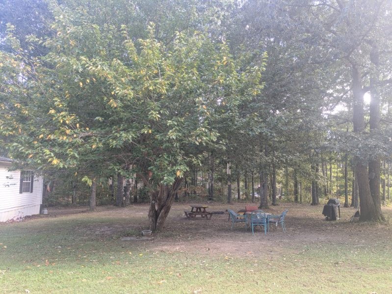 429 Crestview Loop Property Photo 5