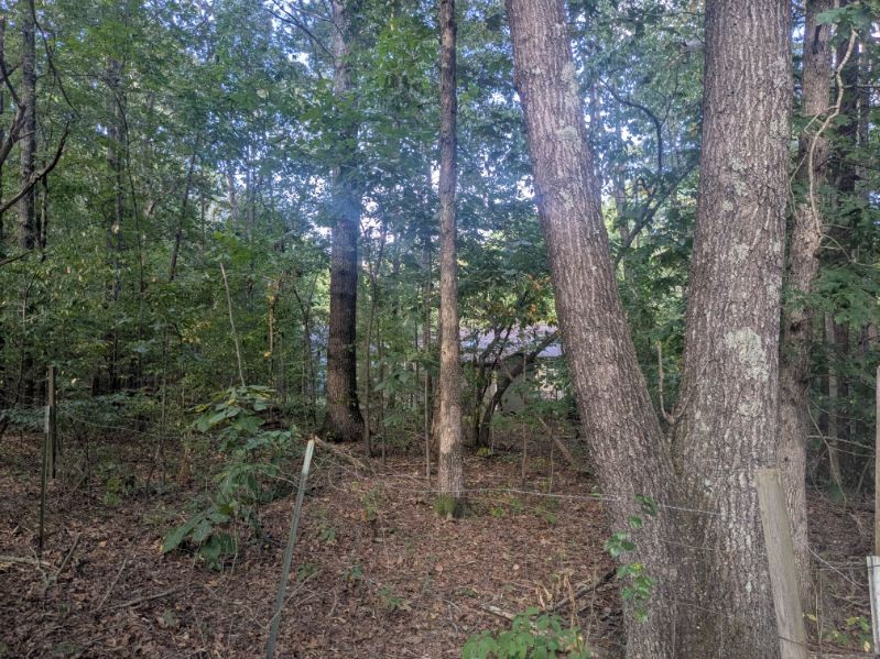 429 Crestview Loop Property Photo 6