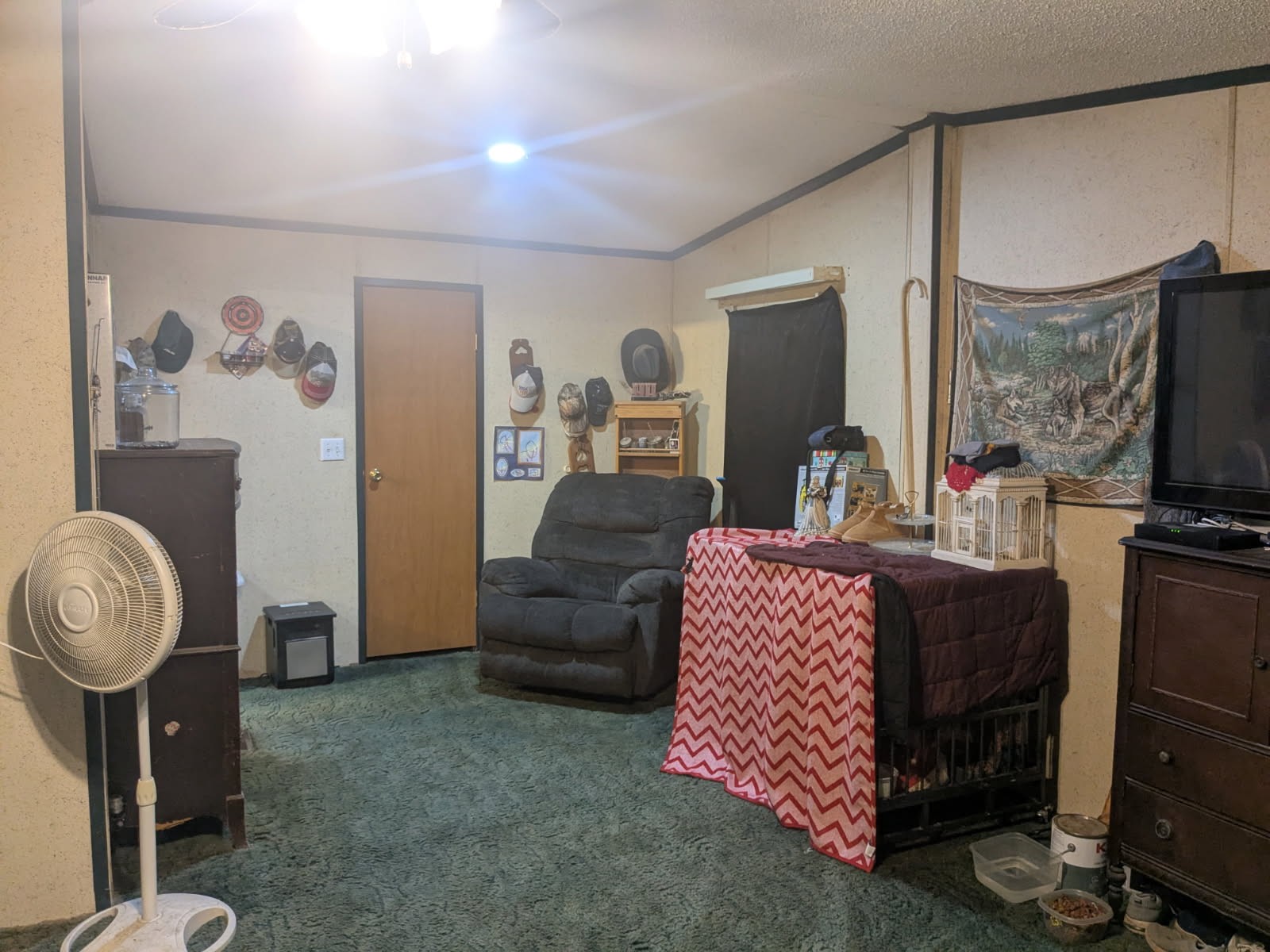 429 Crestview Loop Property Photo 15