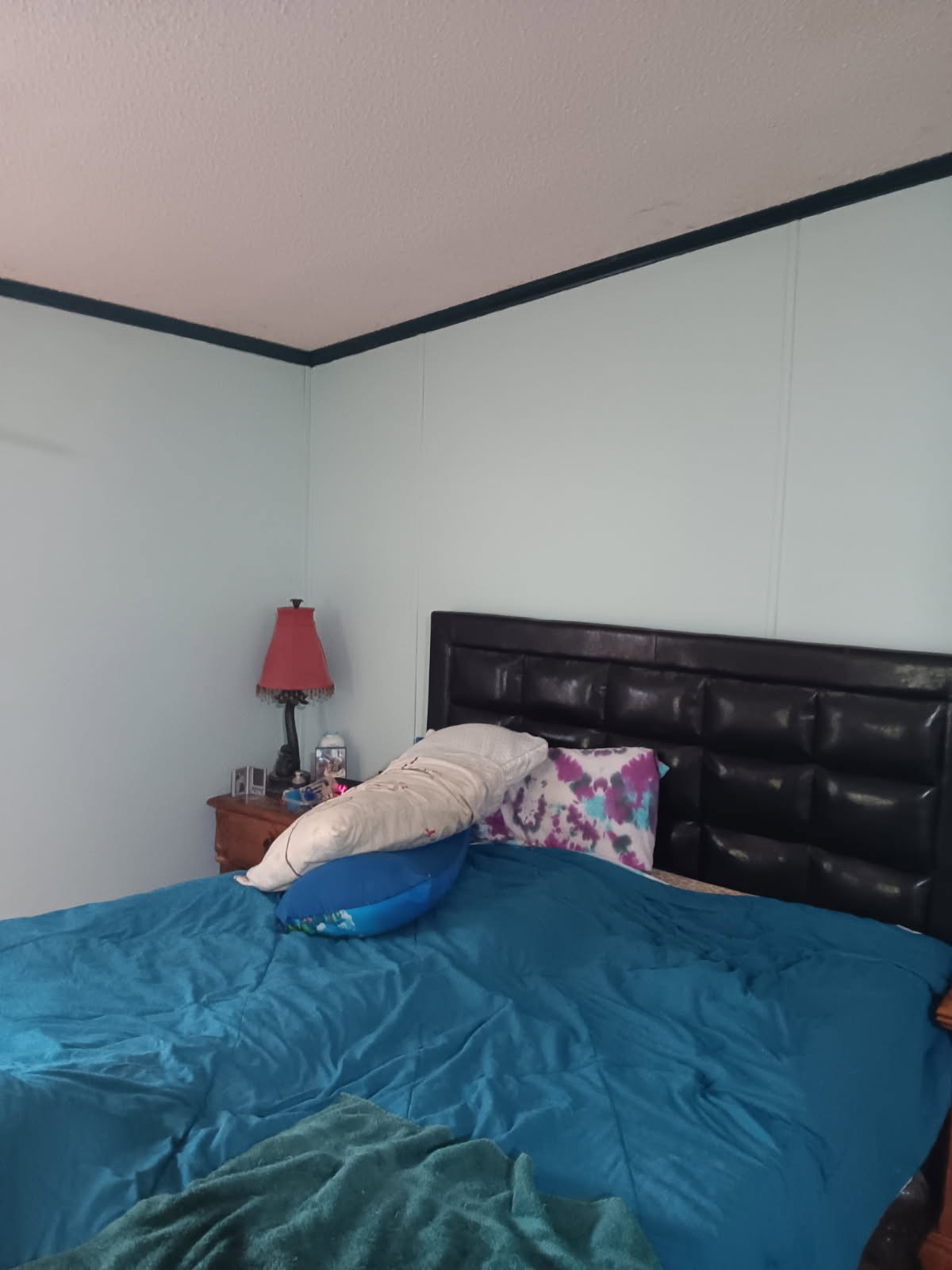 429 Crestview Loop Property Photo 33