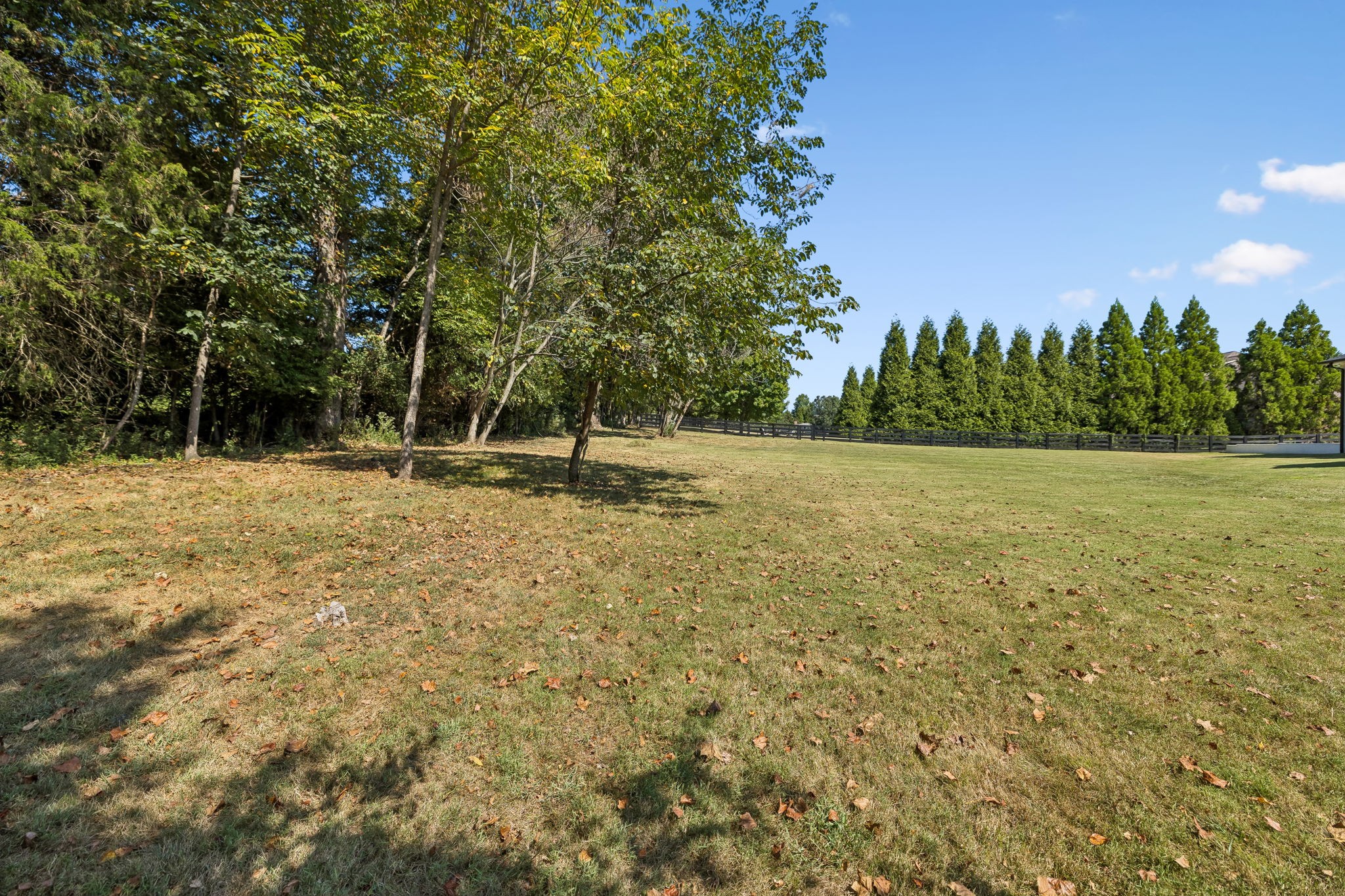 4617 Delta Springs Ln Property Photo 62