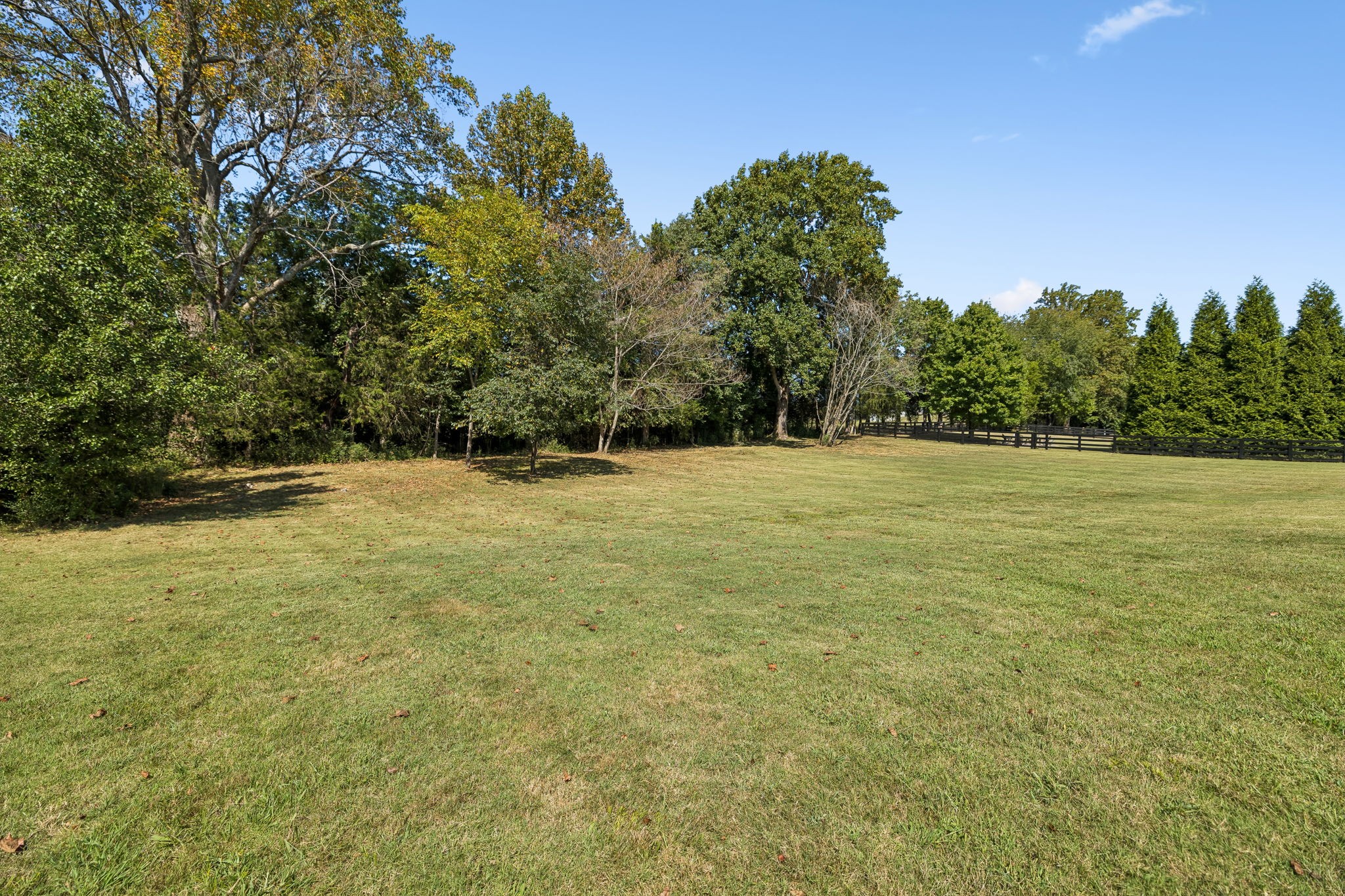 4617 Delta Springs Ln Property Photo 63