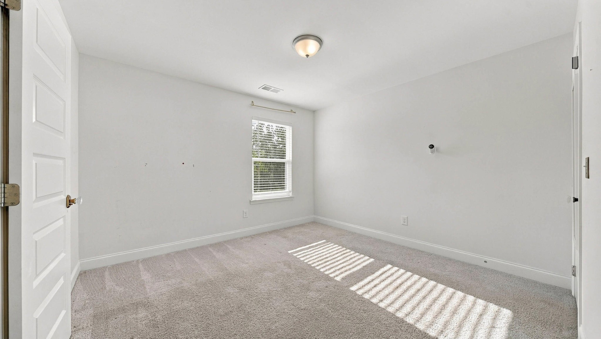 1648 Buttonwood Loop Property Photo 34