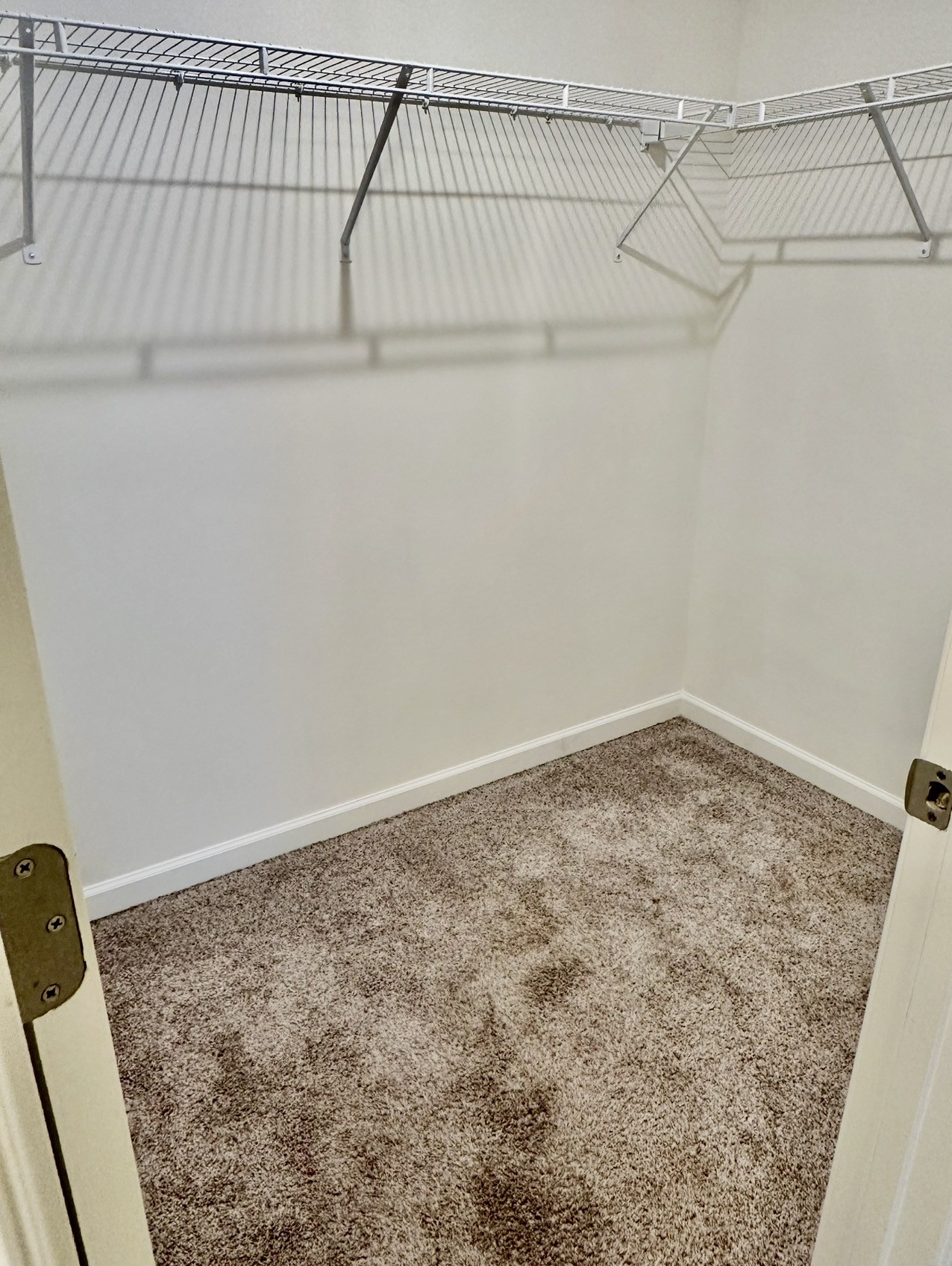 3322 Brookberry Ln Property Photo 6