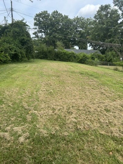 332 Morningside Dr Property Photo 9