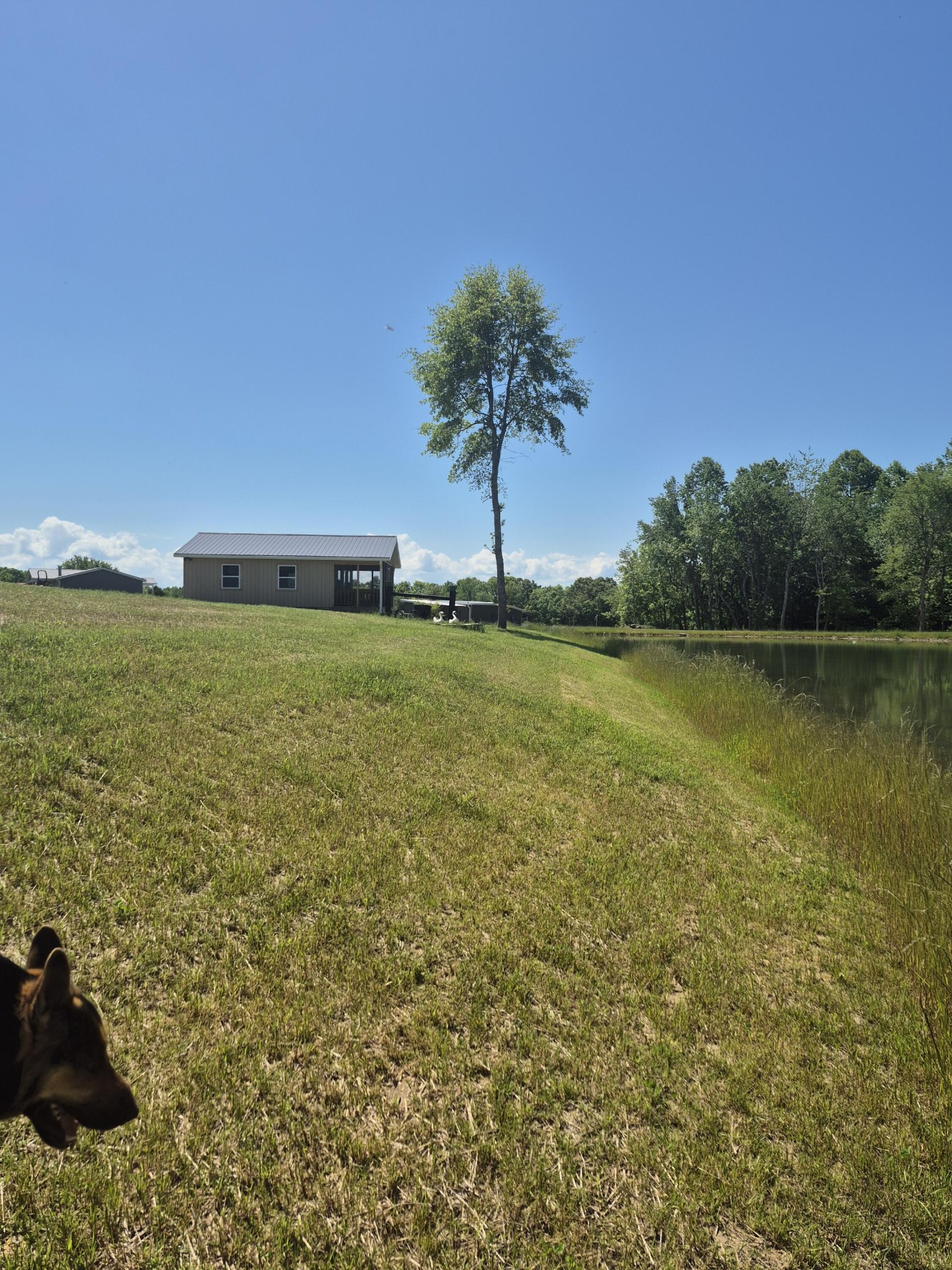 524 Clear Creek Ln Property Photo 55