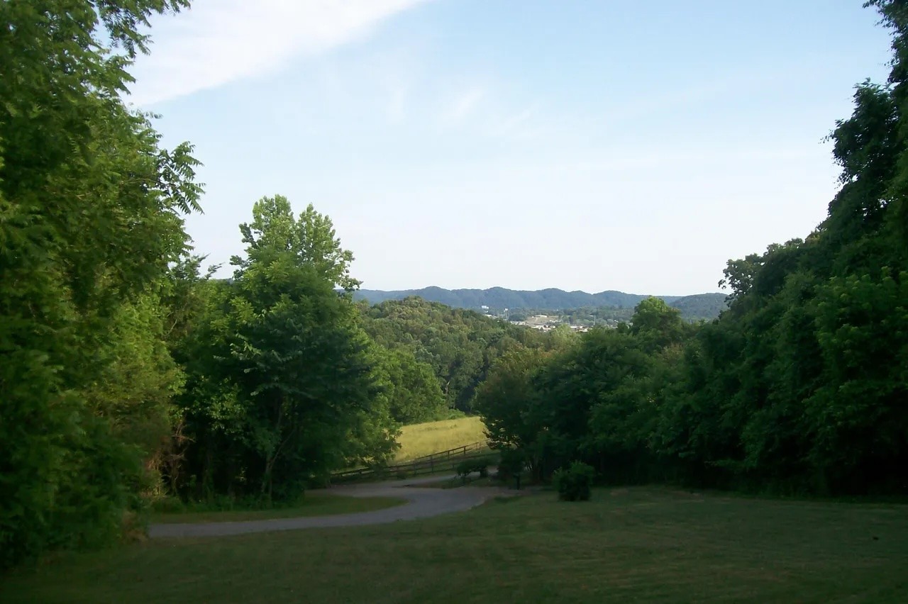 441 Lewallen Hollow Ln Property Photo 3