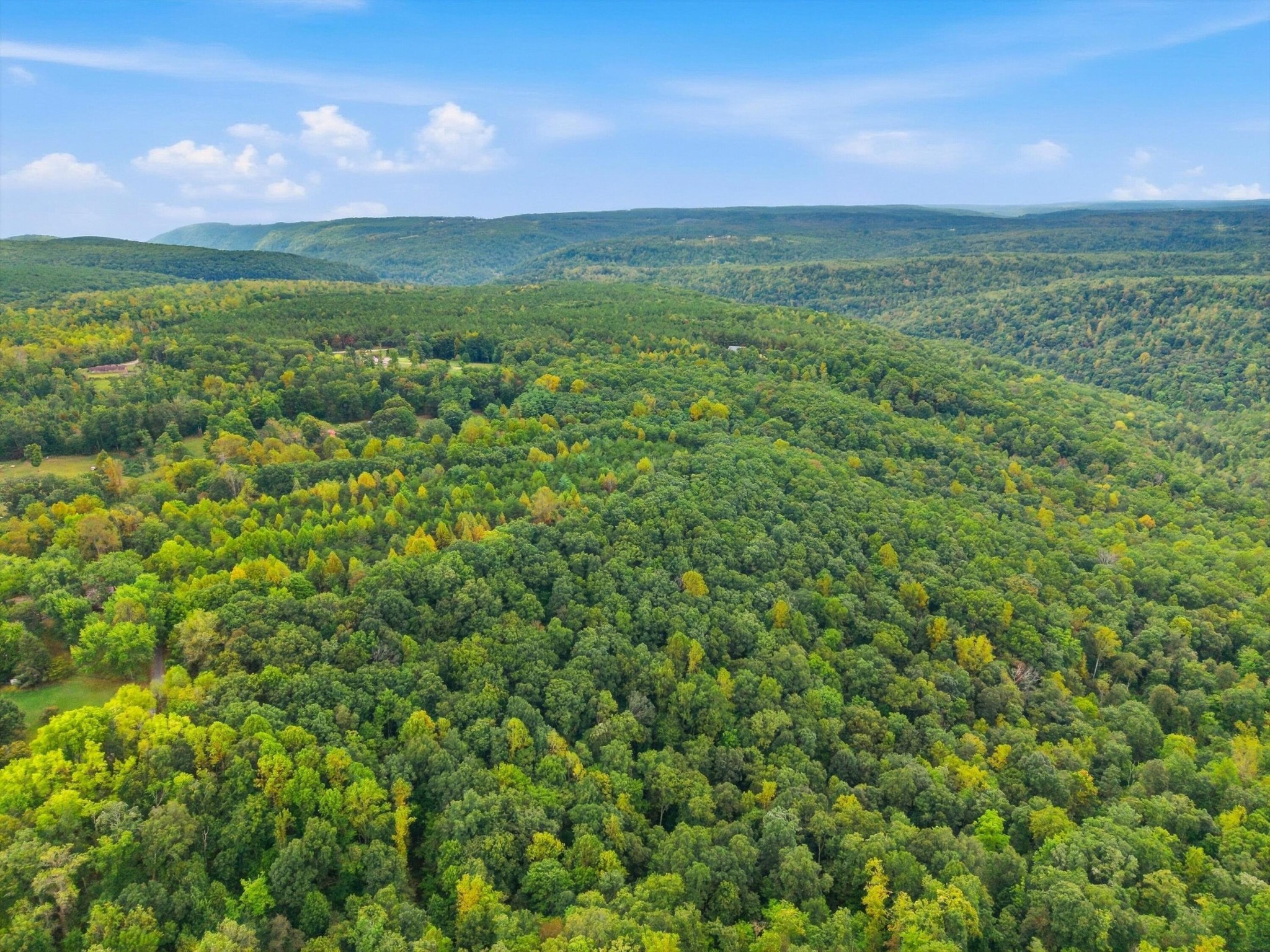 175 Teeters Loop Road Property Photo 31