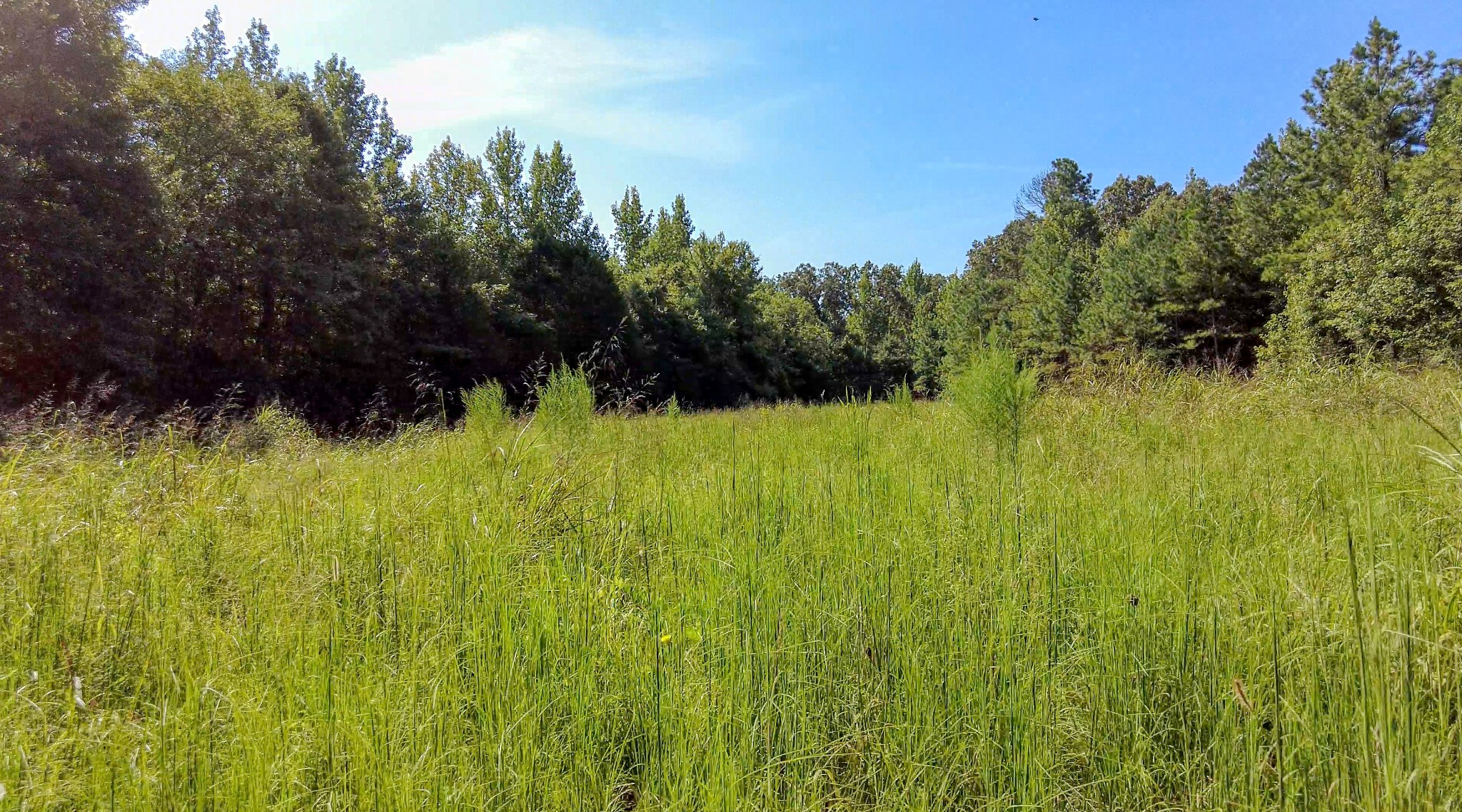 4349 Buena Vista Rd Property Photo 42