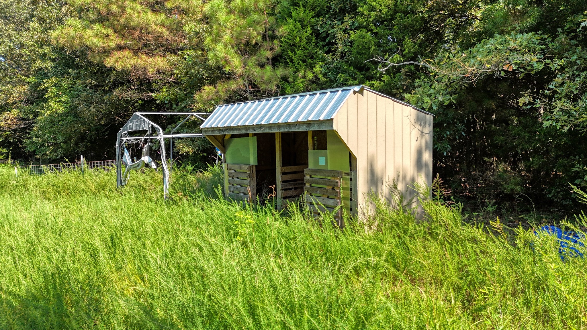 4349 Buena Vista Rd Property Photo 52
