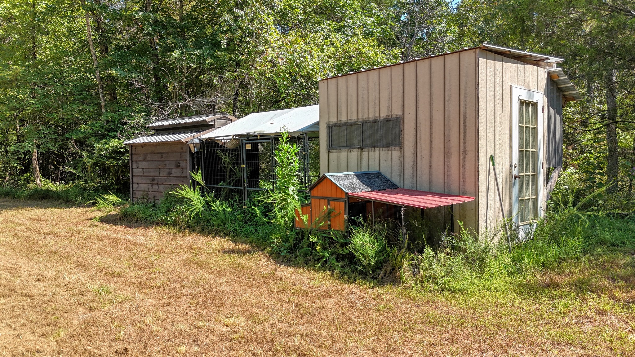 4349 Buena Vista Rd Property Photo 57