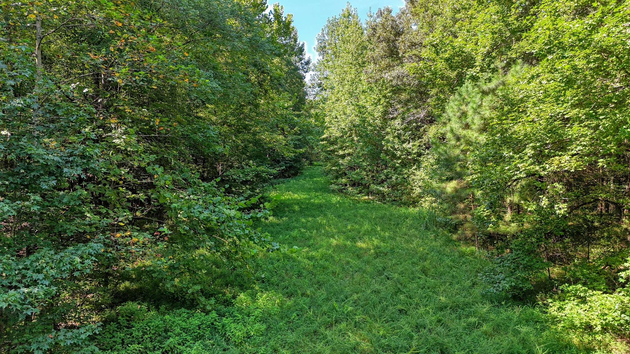 4349 Buena Vista Rd Property Photo 61