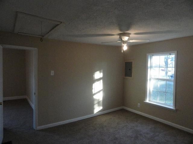 1319 Searcy St Property Photo 9