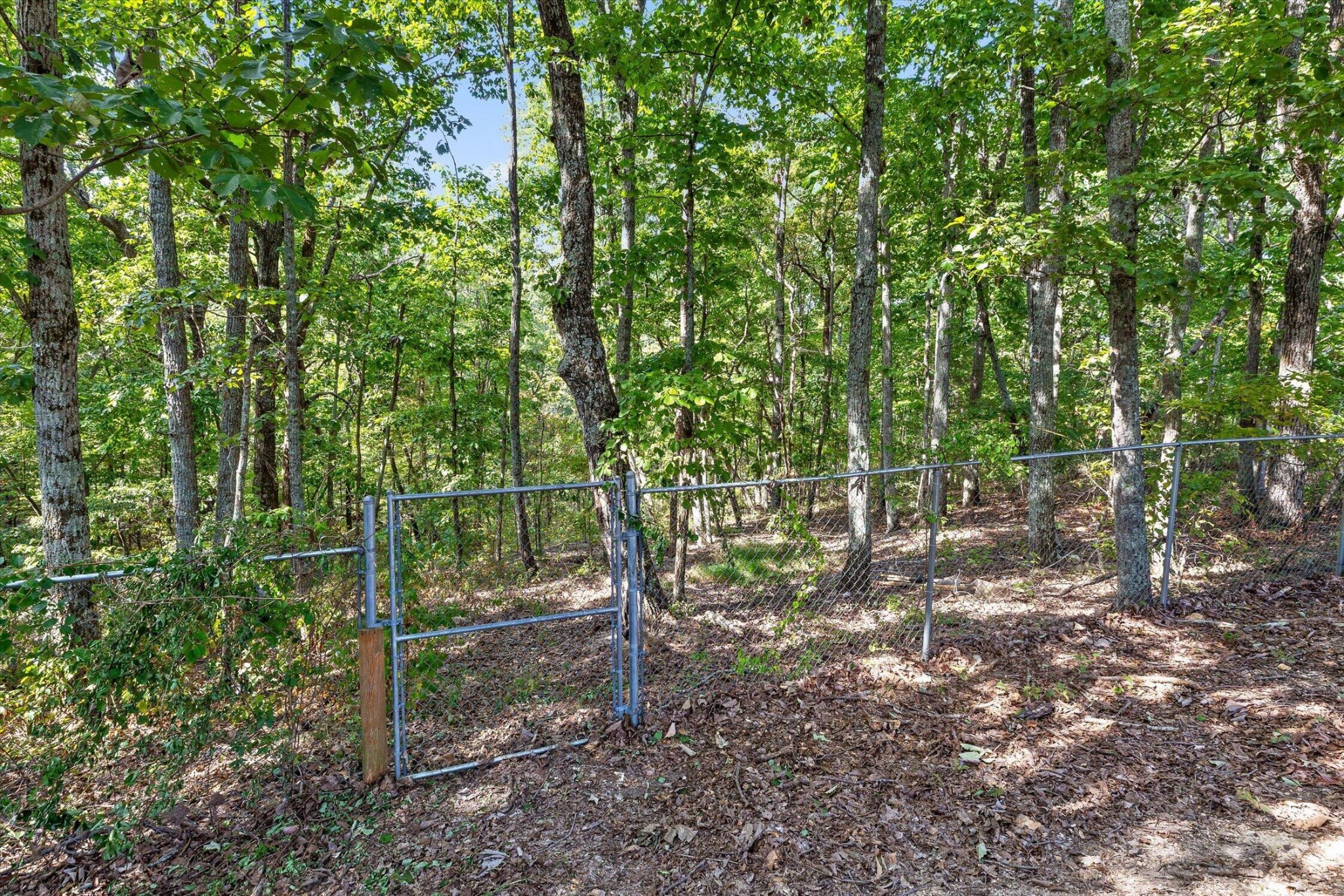 6172 Chandler Hill Road Property Photo 24