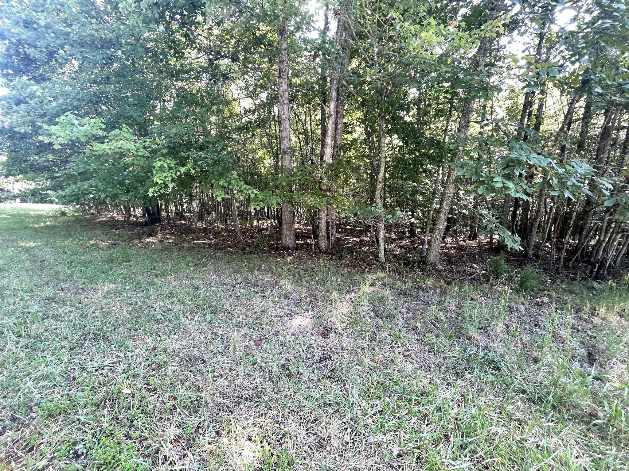 0 Holly Ln Property Photo 1