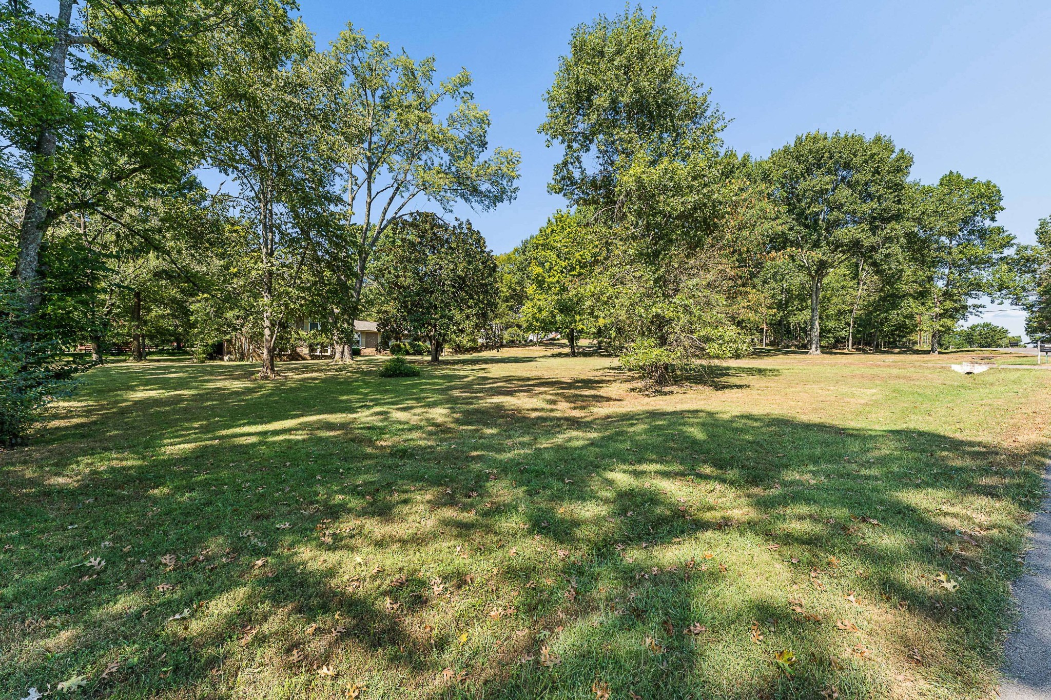 1203 Montpier Dr Property Photo 7