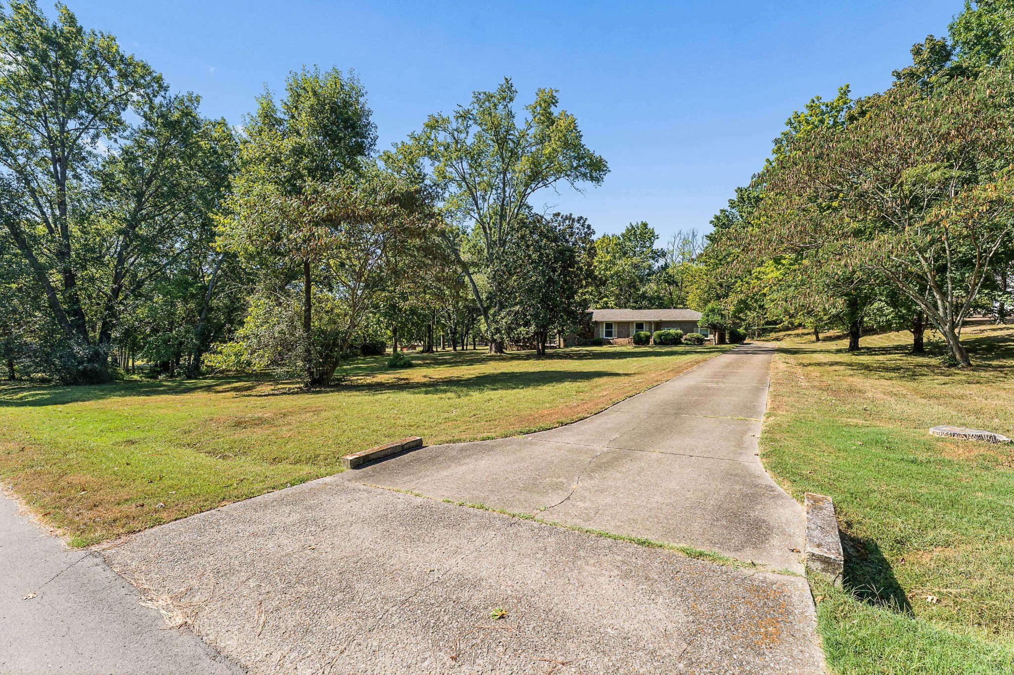 1203 Montpier Dr Property Photo 9