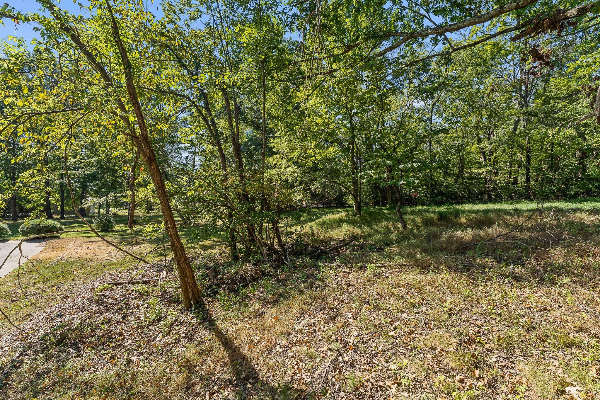 1203 Montpier Dr Property Photo 13