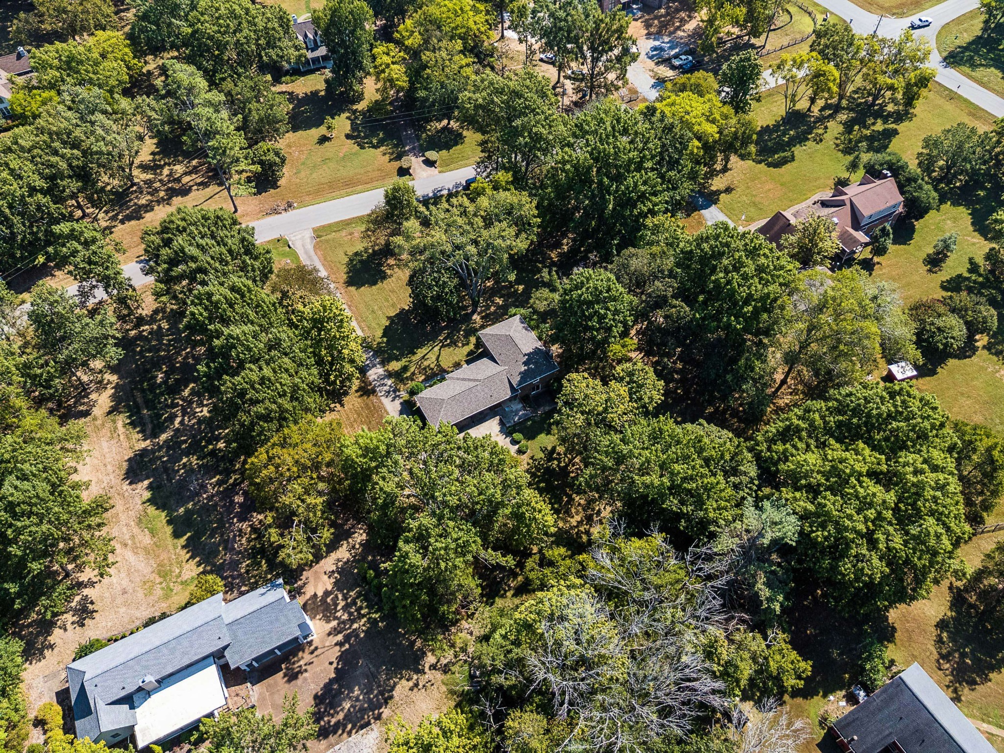 1203 Montpier Dr Property Photo 14