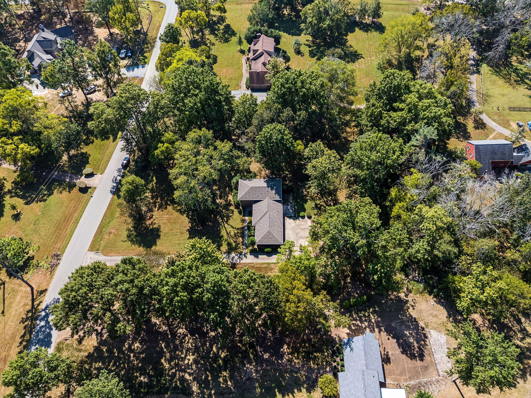 1203 Montpier Dr Property Photo 15