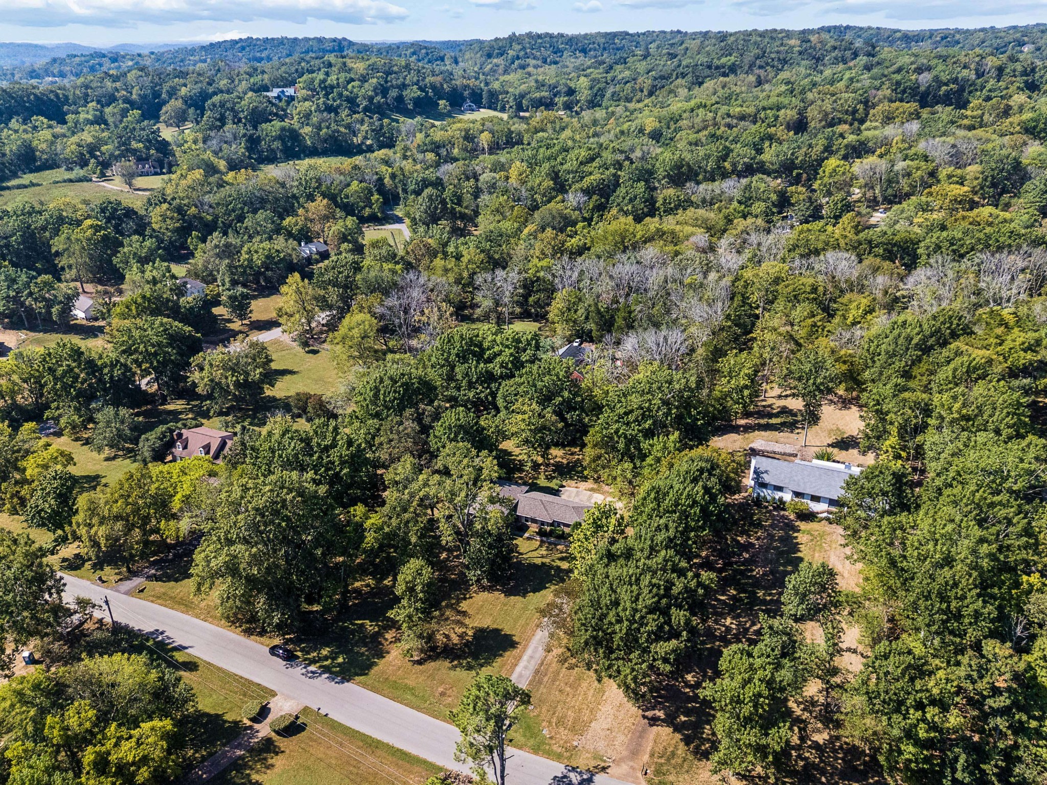 1203 Montpier Dr Property Photo 16