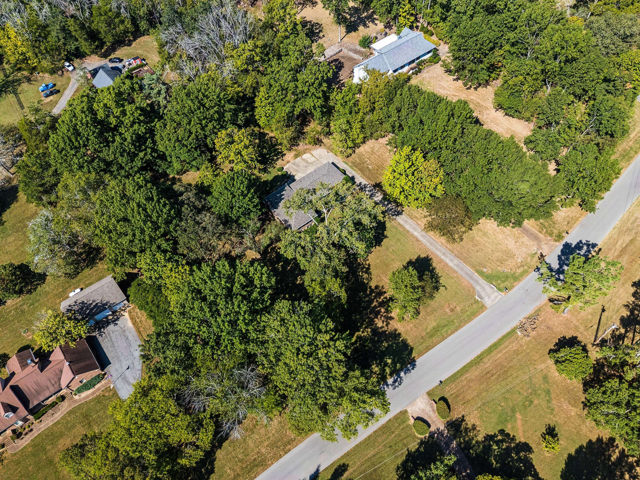 1203 Montpier Dr Property Photo 19