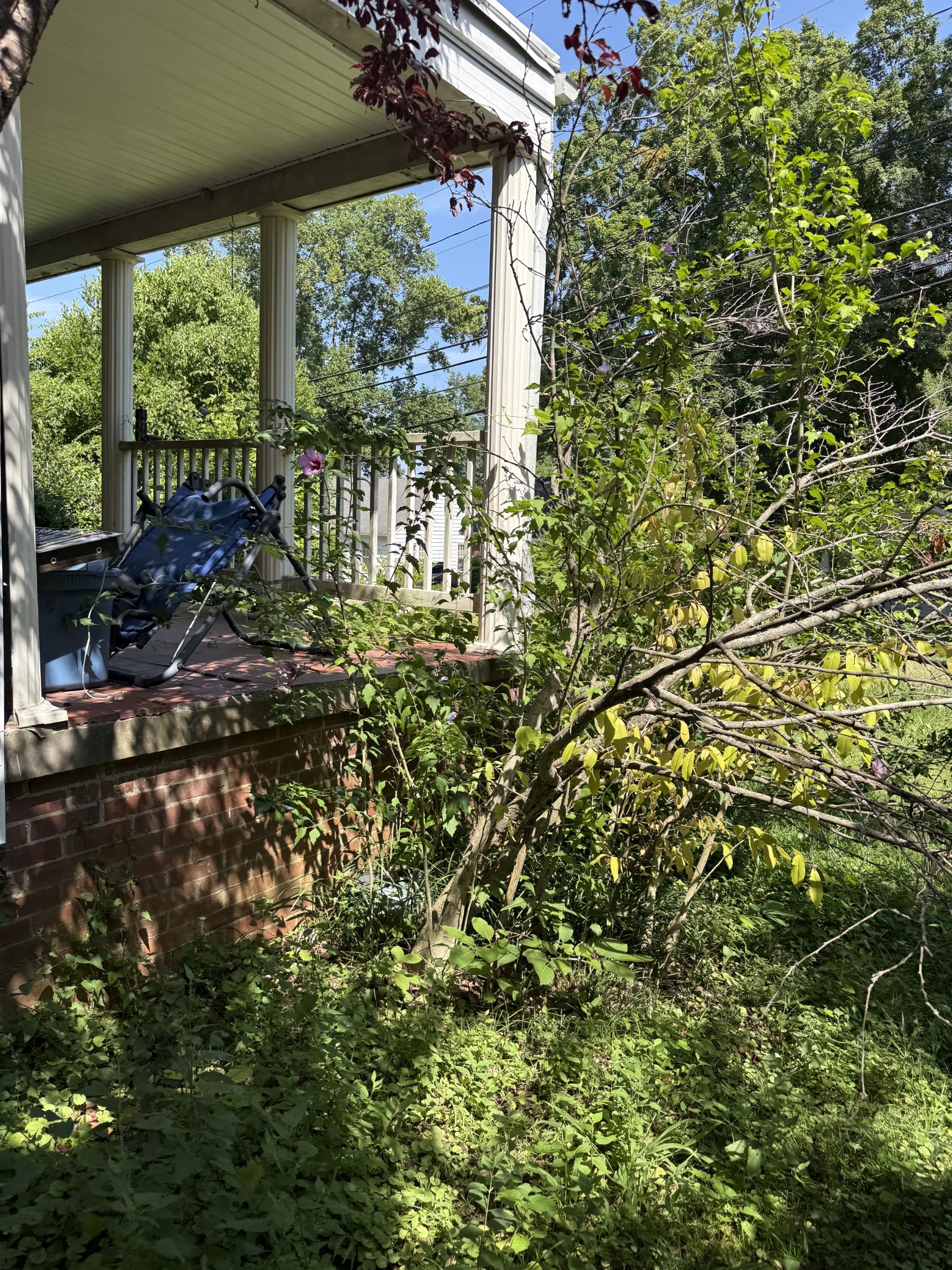 266 W Forest Ave Property Photo 17