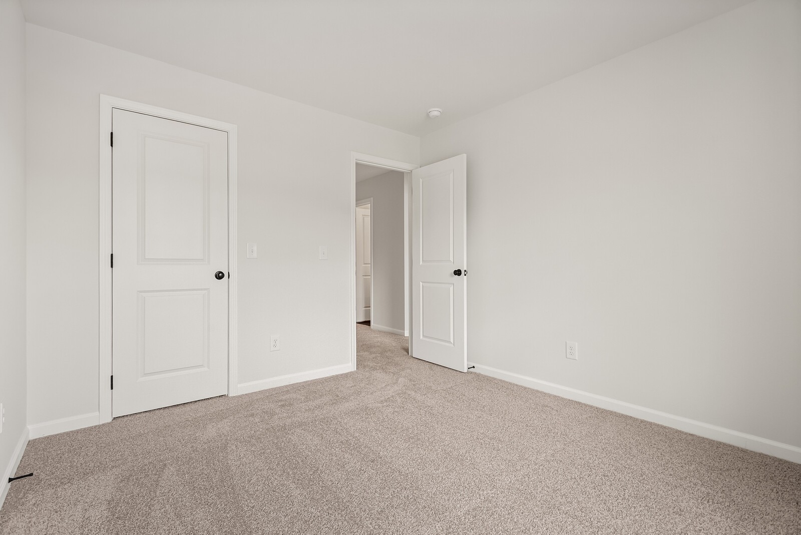 2317 Juneau Lane Property Photo 11