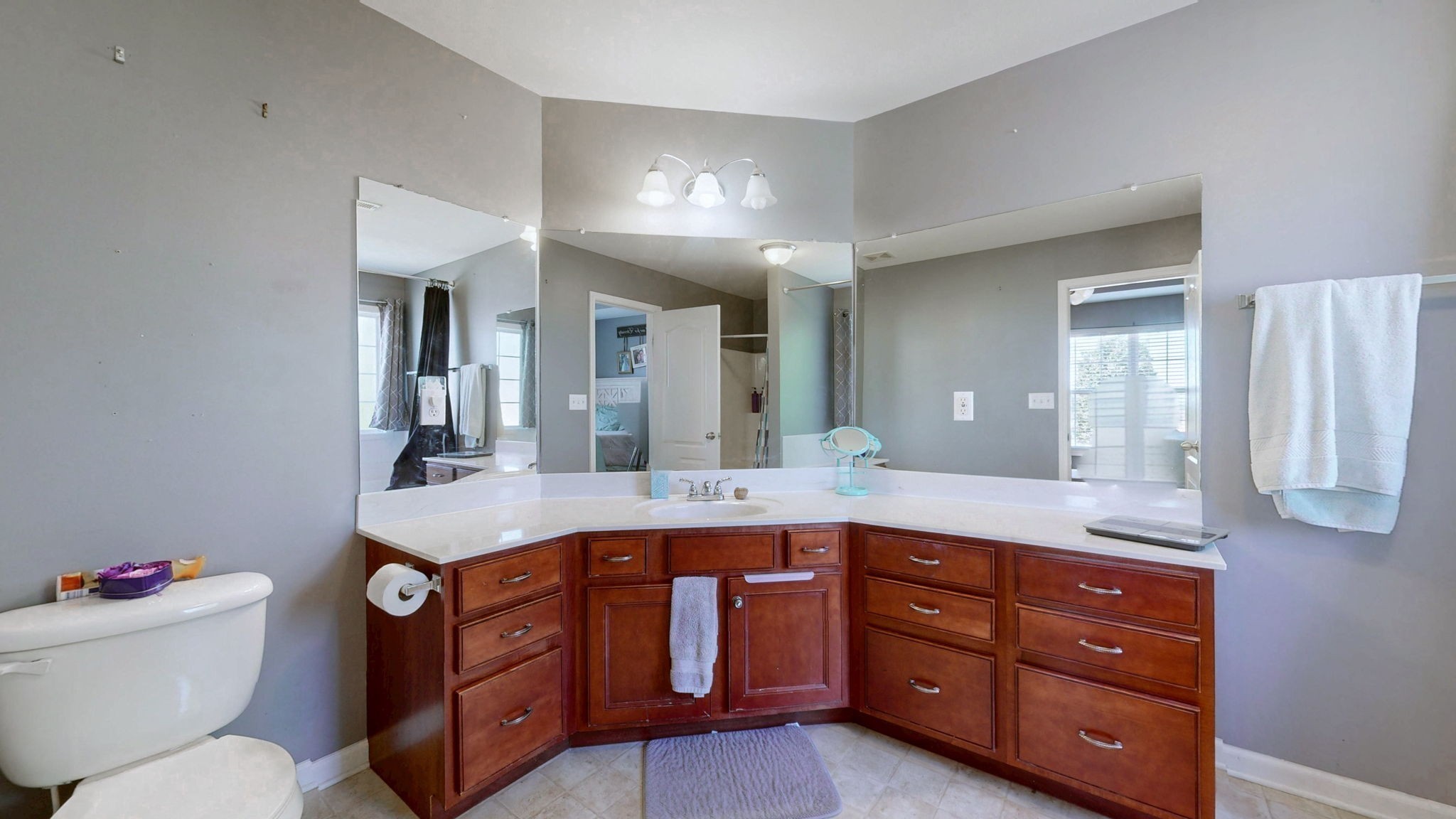 669 Wolfchase Ct Property Photo 20
