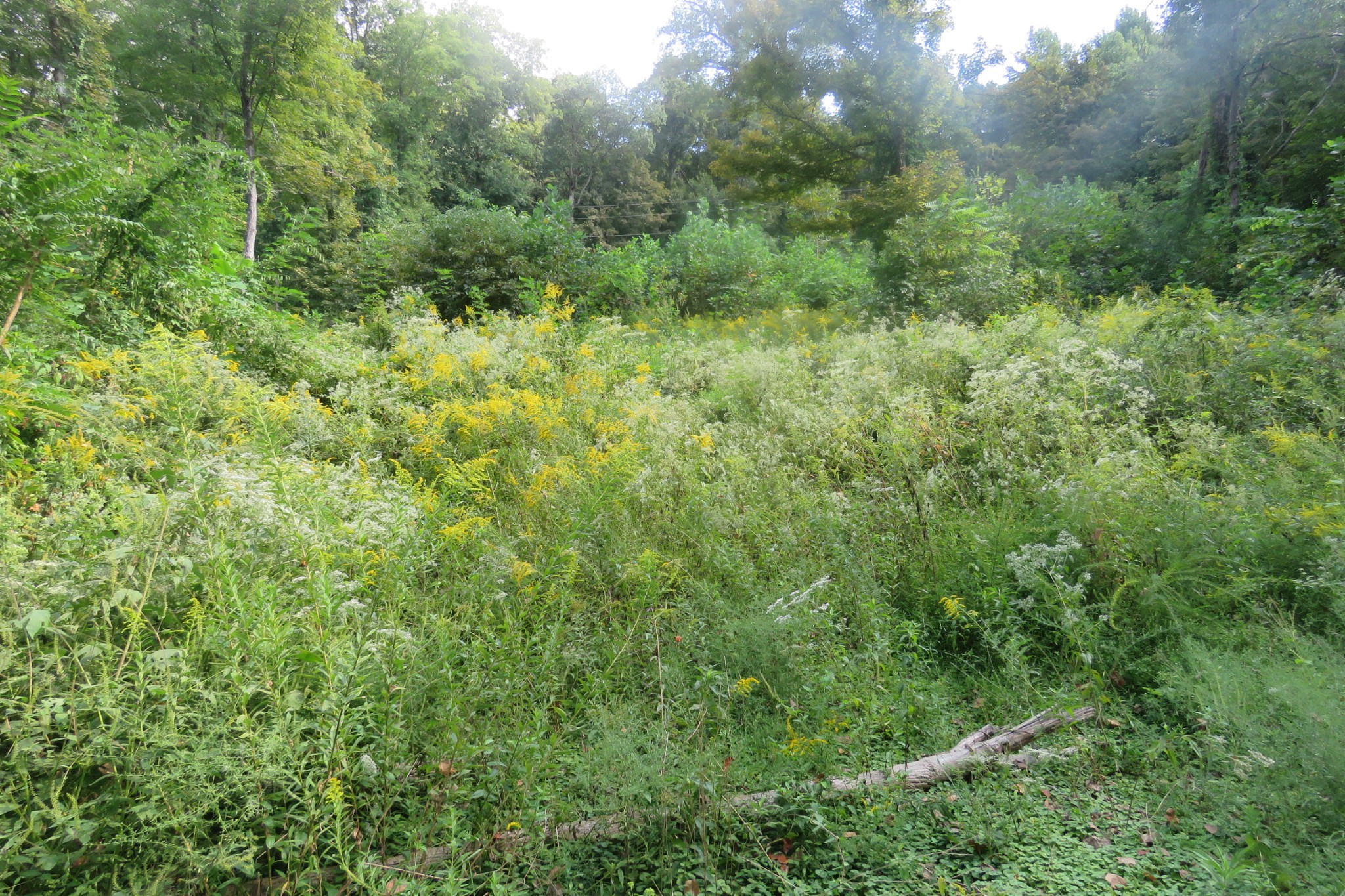 0 Watauga Road Property Photo 1