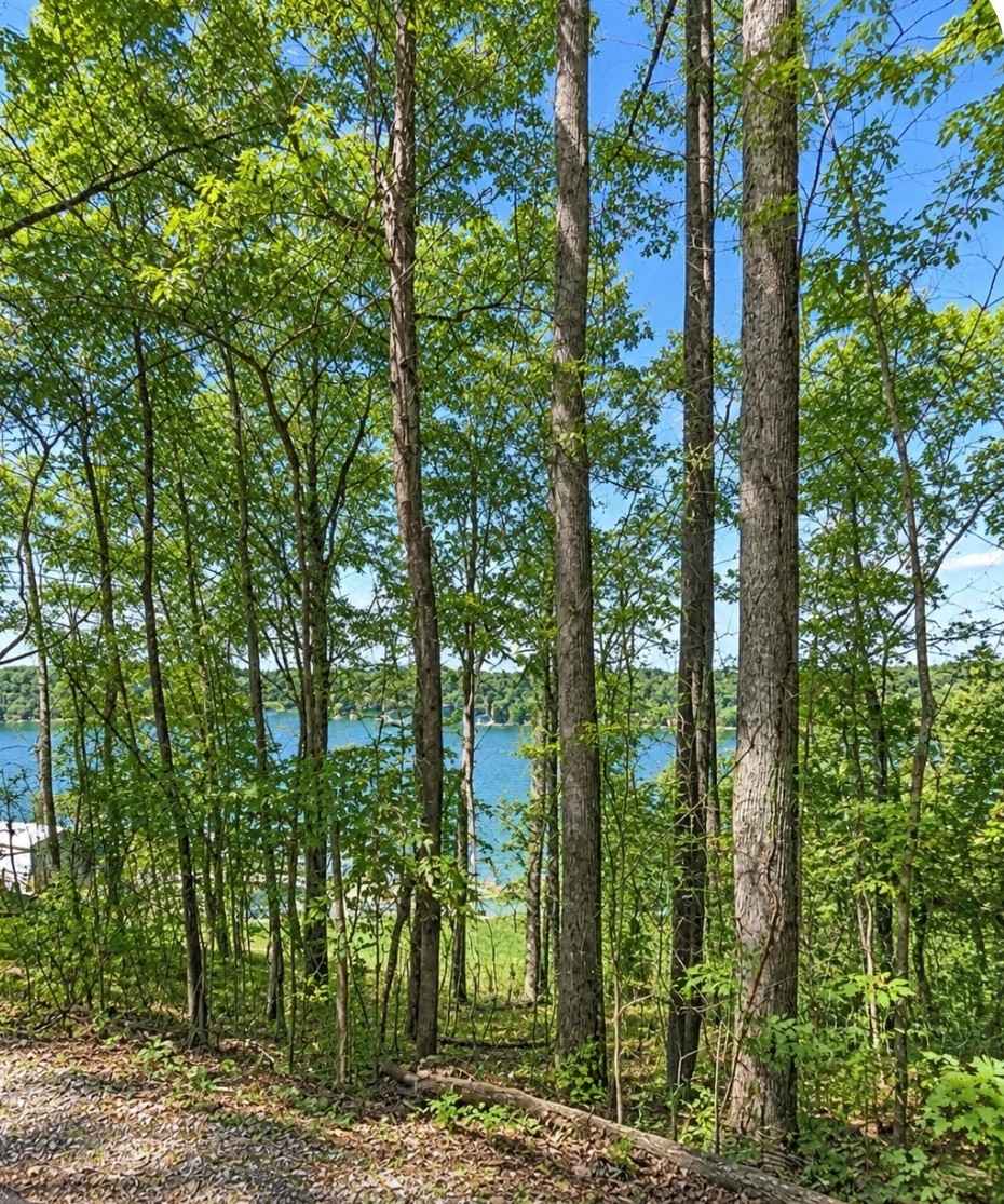 1 Trail Lane Property Photo 3