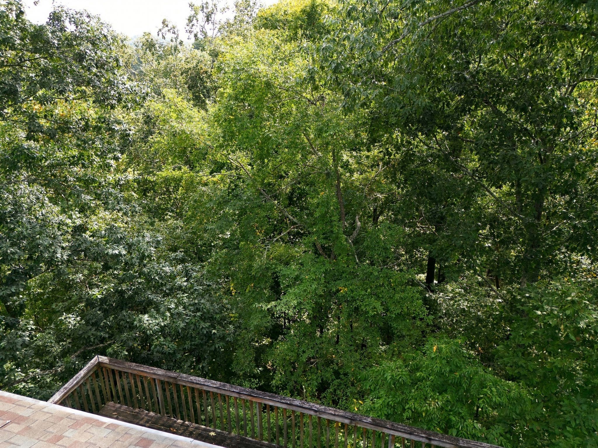 112 Harpeth Trace Ct Property Photo 14