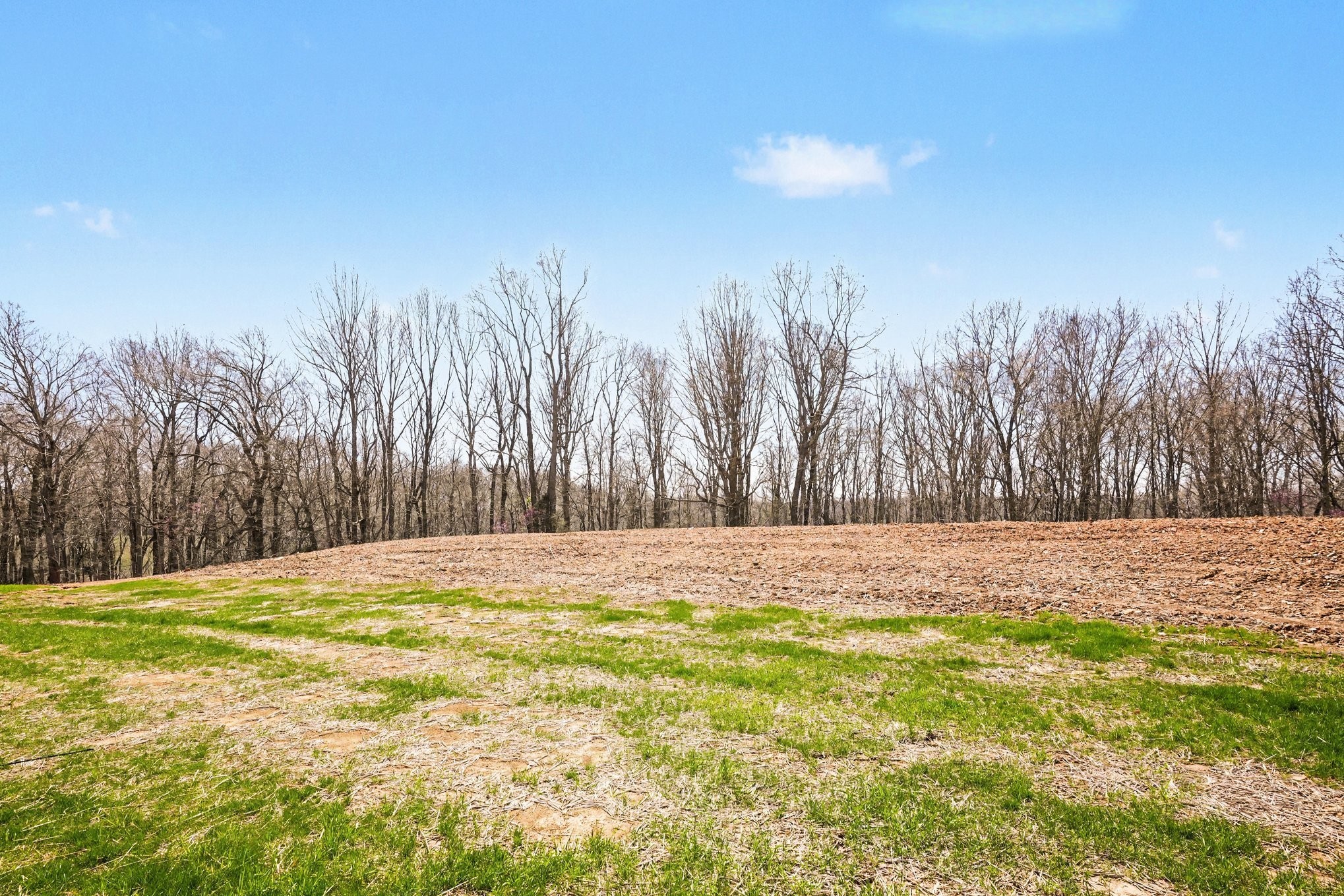 2031 Eagles Bluff Dr Property Photo 23