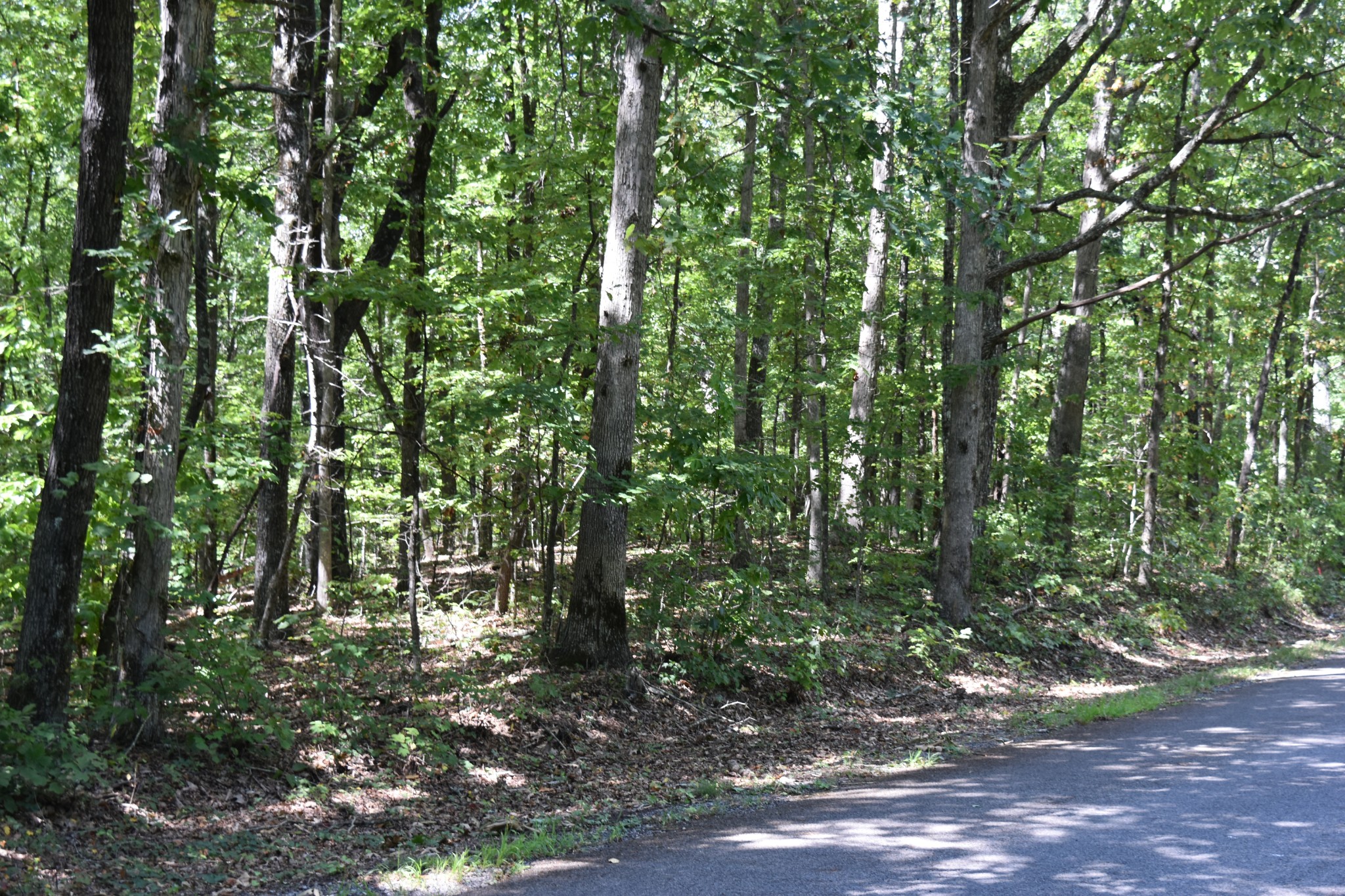 0 Lower Firetower Road Property Photo 1