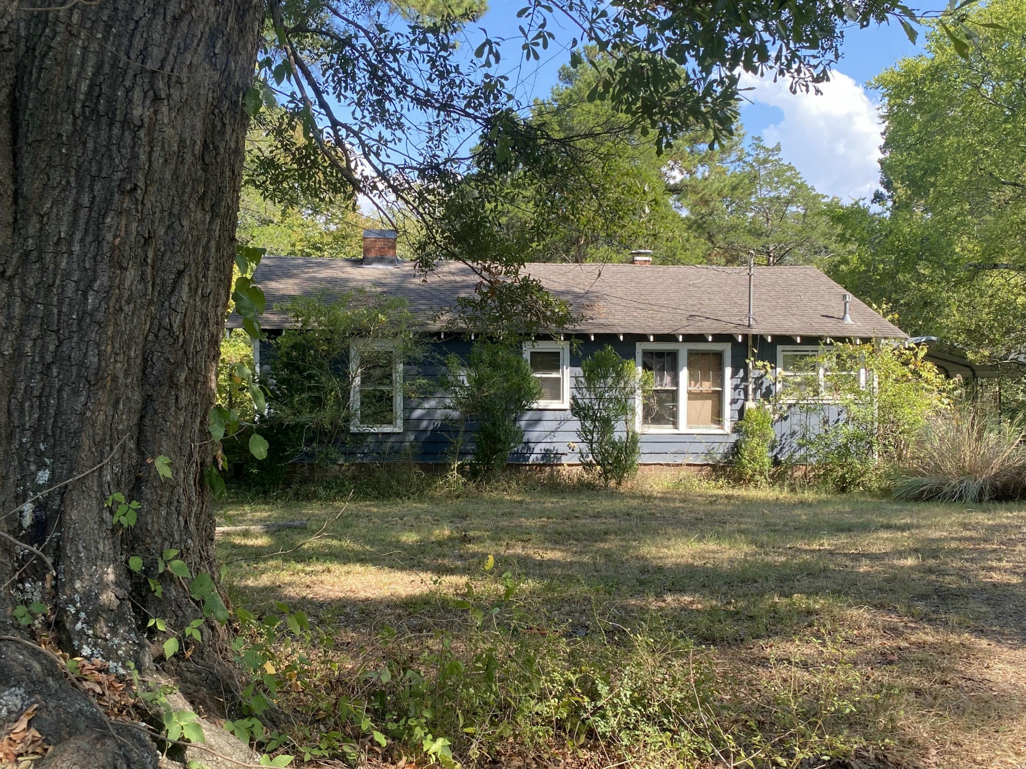 2332 Hamill Road Property Photo 1