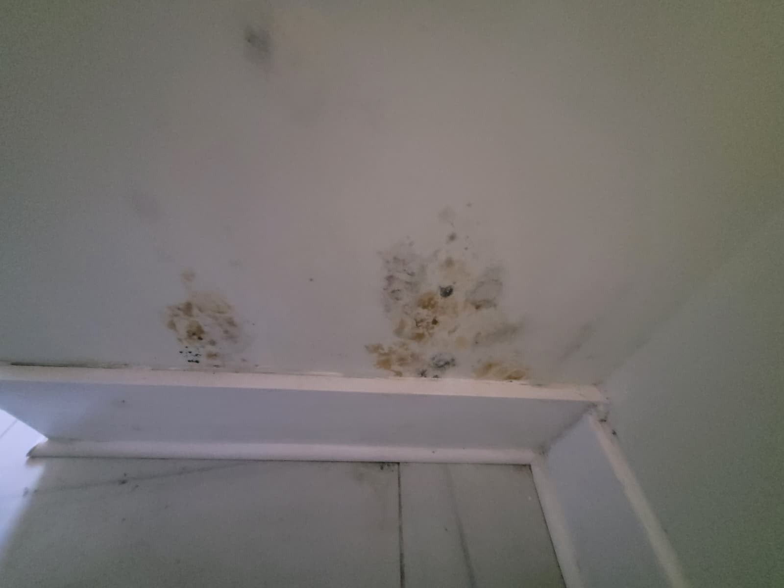 307 Sampson Ave, N Property Photo 27