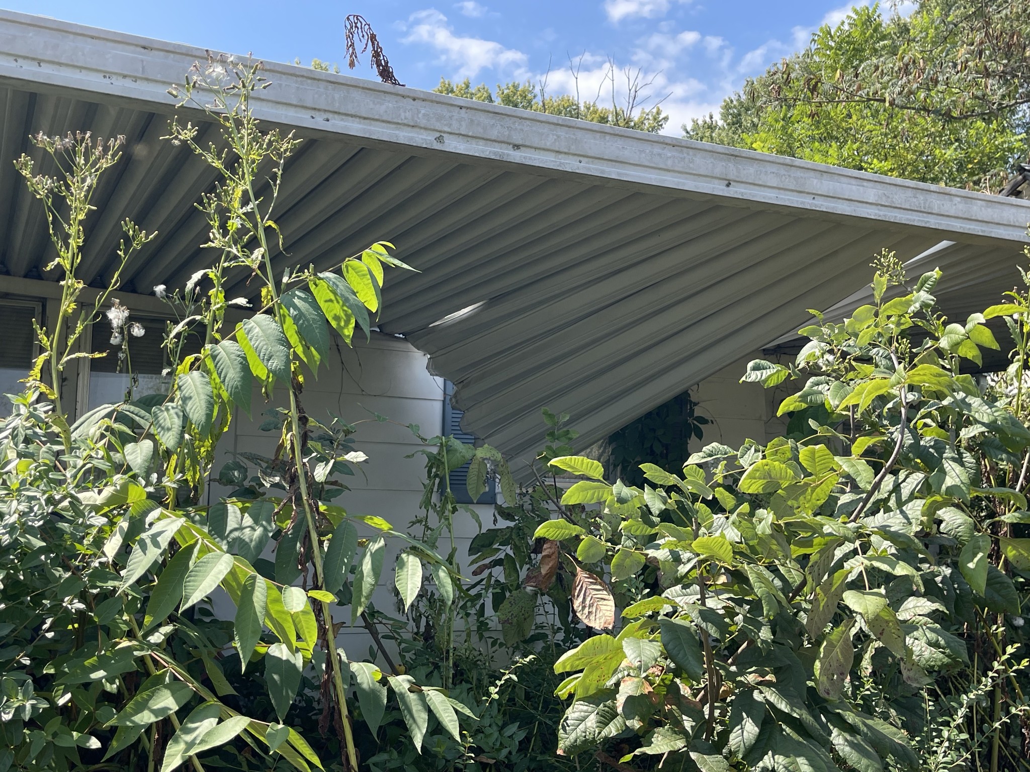 419 E Bernard Ave Property Photo 11