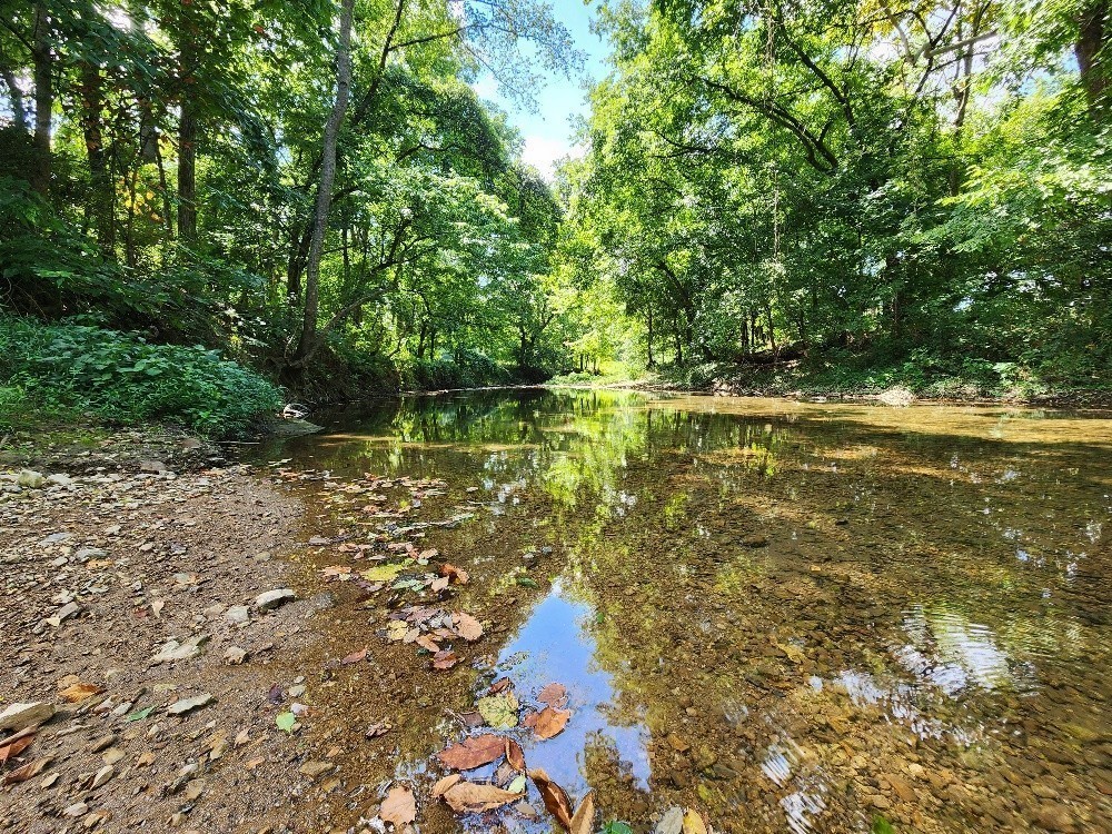 0 Taurus Farm Rd