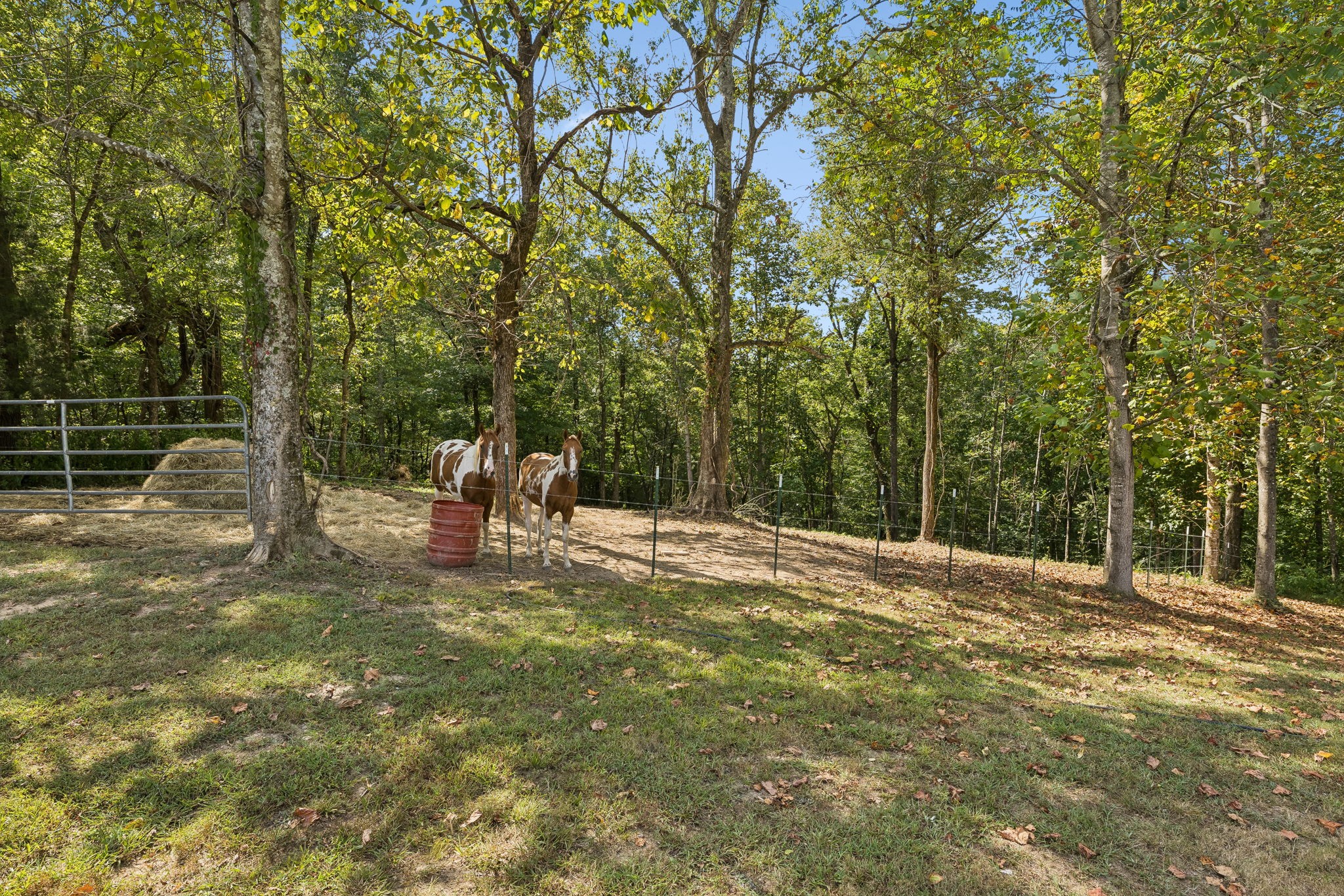 837 Womble Ridge Rd Property Photo 39